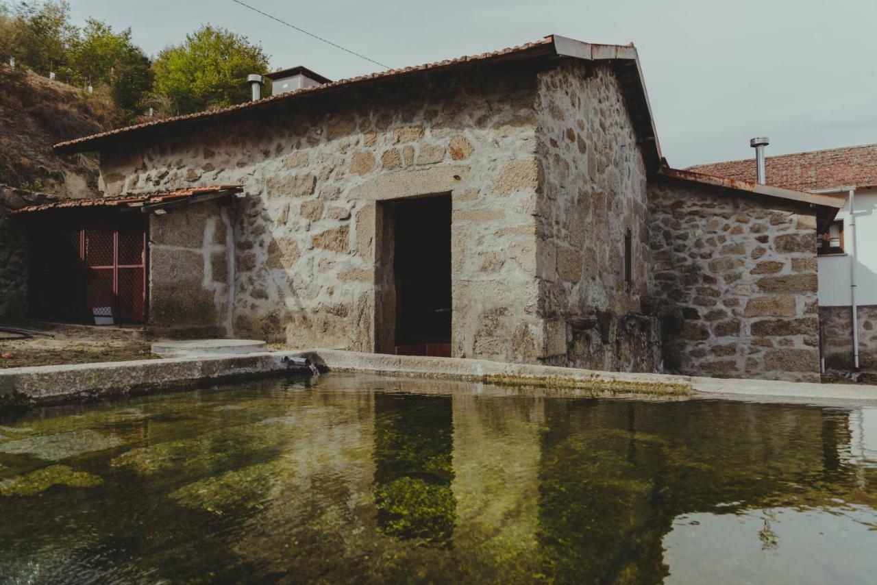 The Farmhouse I - Uma Quinta Deslumbrante Villa Felgueiras Eksteriør billede