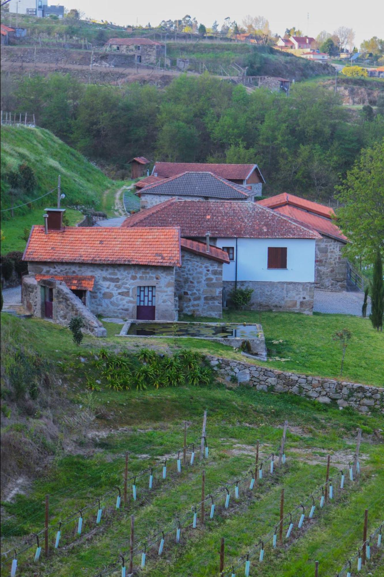 The Farmhouse I - Uma Quinta Deslumbrante Felgueiras Eksteriør billede