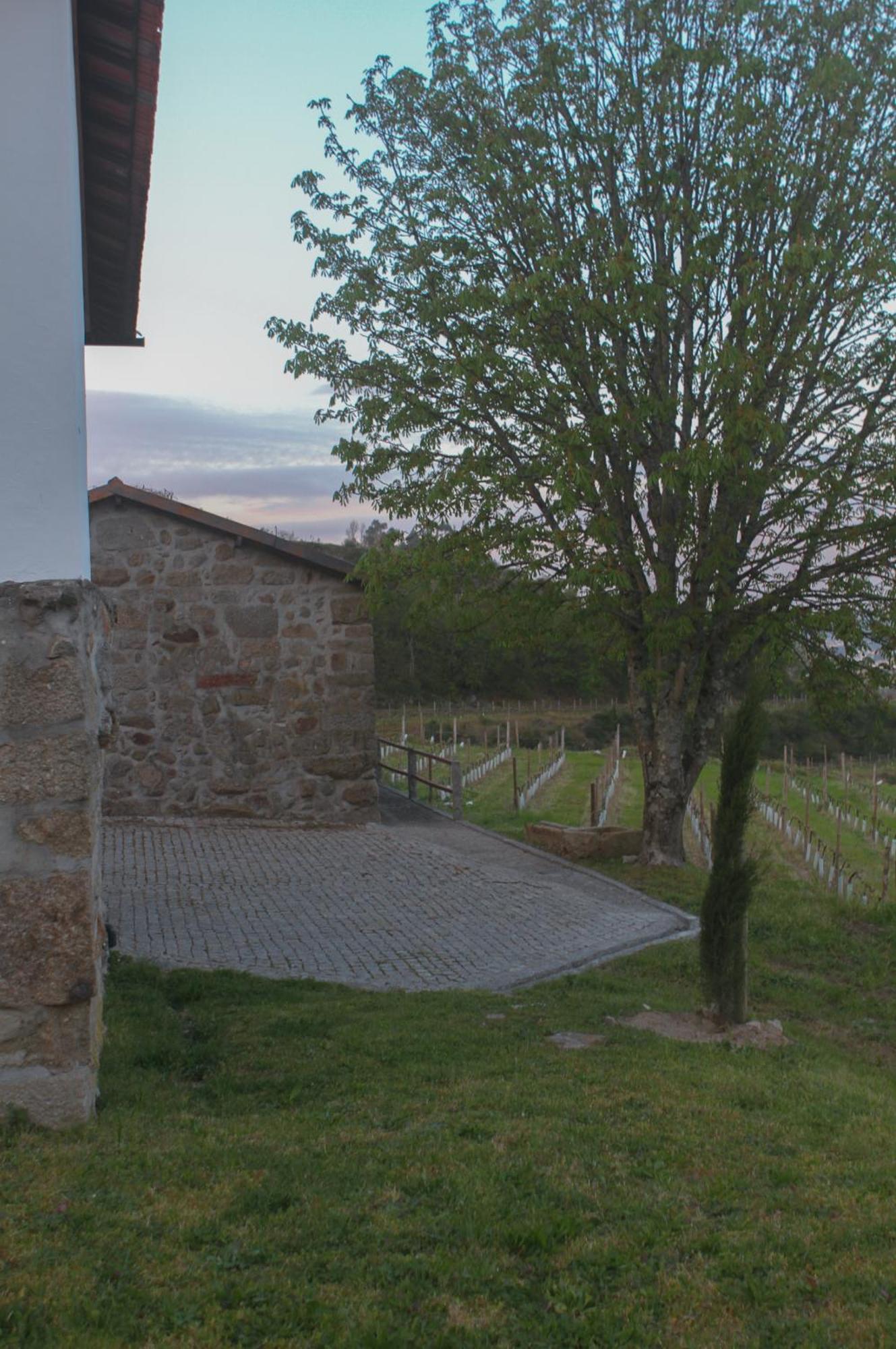 The Farmhouse I - Uma Quinta Deslumbrante Felgueiras Eksteriør billede